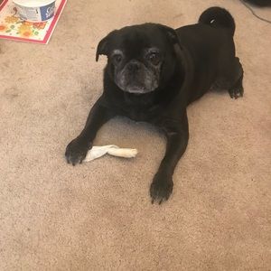 Meet your Posher, Collette